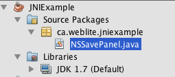 Project structure as shown in netbeans project explorer